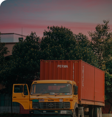 Xuất nhập cảnh